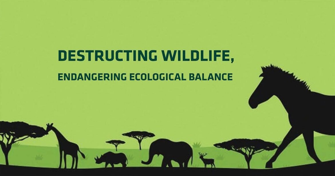 DESTRUCTING WILDLIFE, ENDANGERING ECOLOGICAL BALANCE