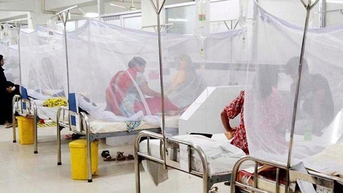 What to Know About the Deadly Mosquito-Borne Dengue