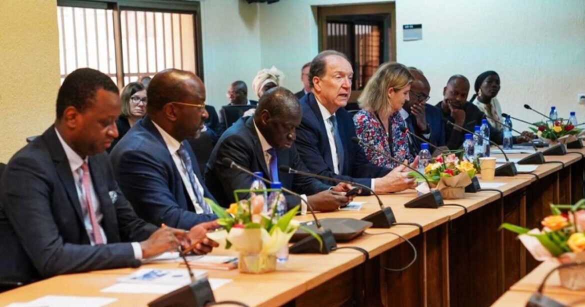 Chinas loans to Africa Why is the World Bank concerned