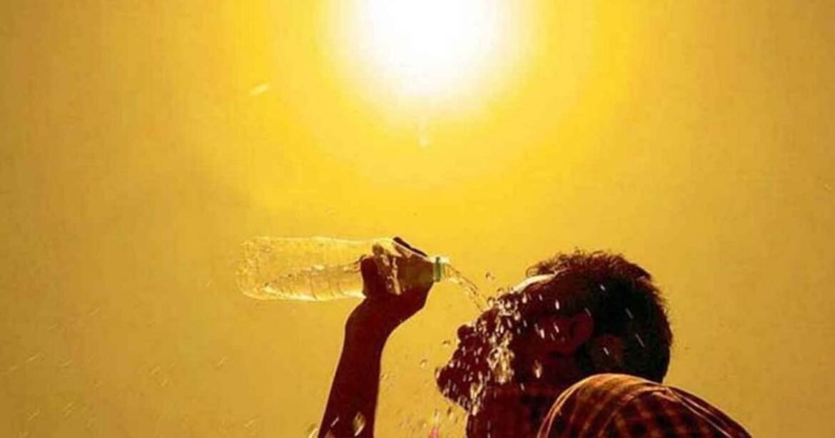 How to survive the heatwave