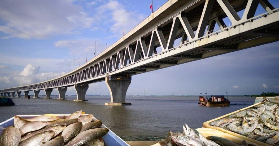 Padma Bridge is transforming the fishing industry