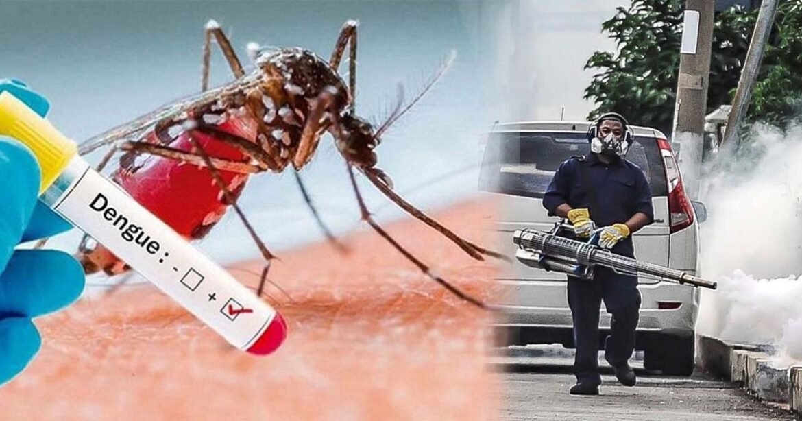 Dengue Breaking Records in US — What’s Behind the Surge?