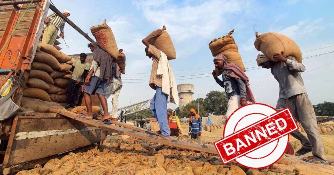 India's export ban sends shockwaves: IMF economist foresees 15% price hike in grains