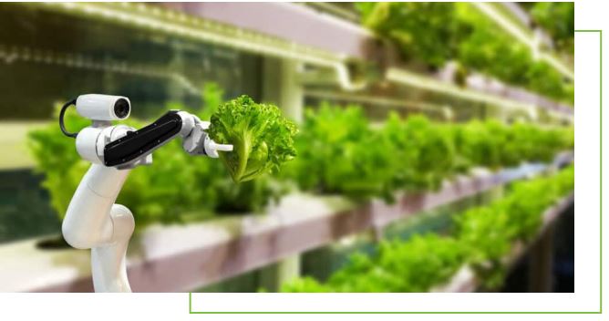 REVAMPING THE WAY WE GROW OUR FOOD: A CALL FOR TECHNOLOGICAL REDESIGN
