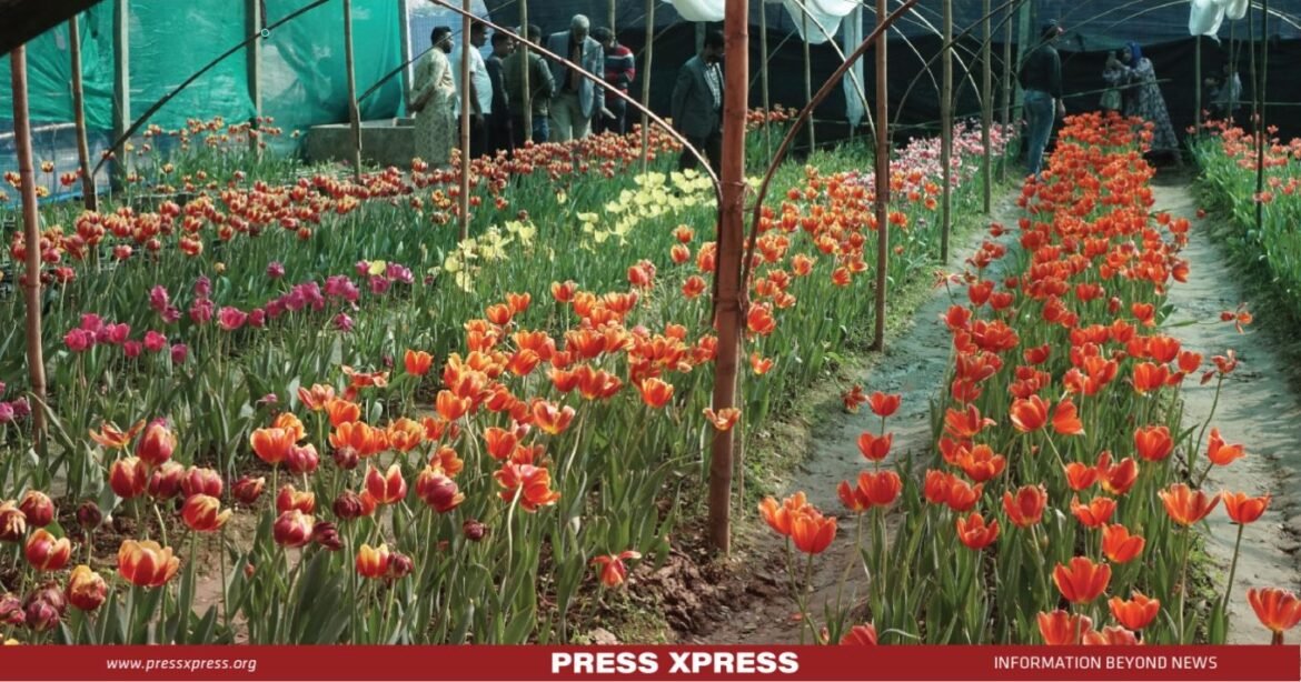 Bangladesh Flower Industry