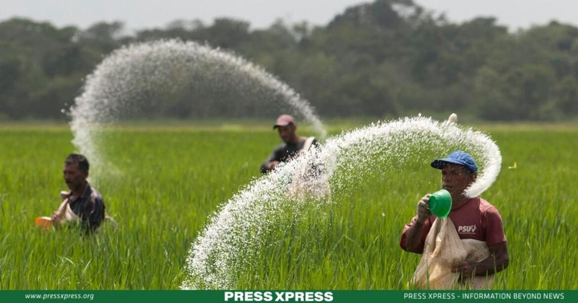 Government Invests in 2800 MT Urea Fertilizer Factory for Agriculture