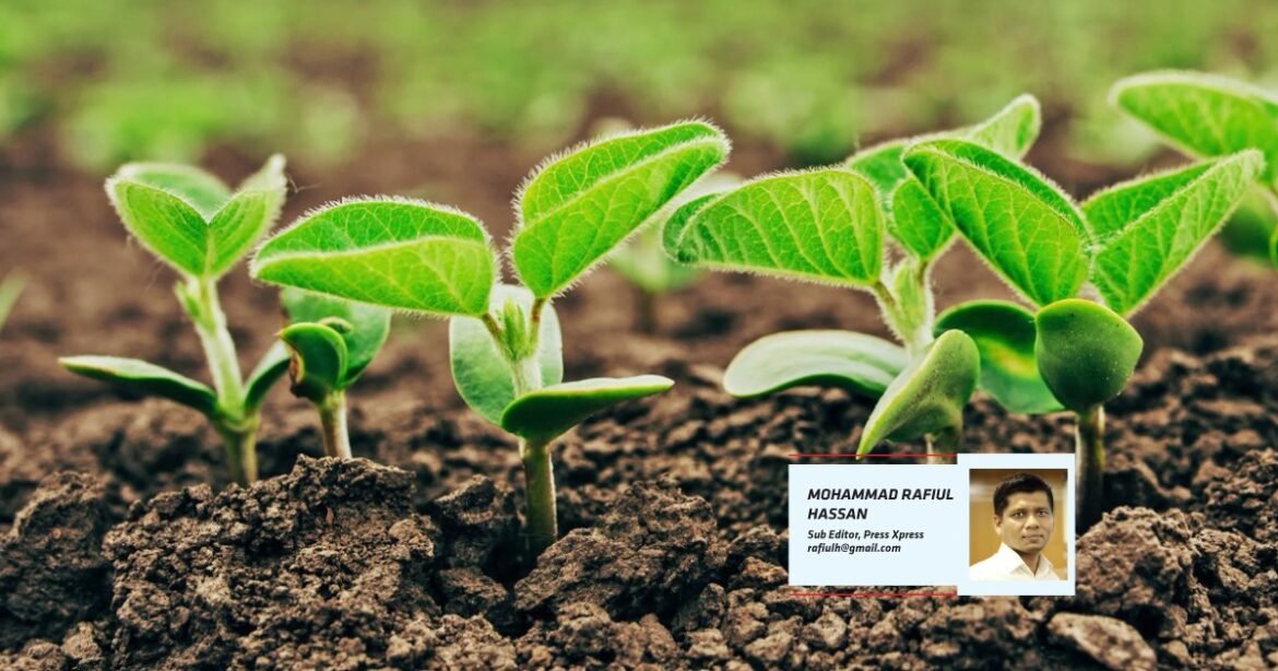 REVAMPING THE WAY WE GROW OUR FOOD