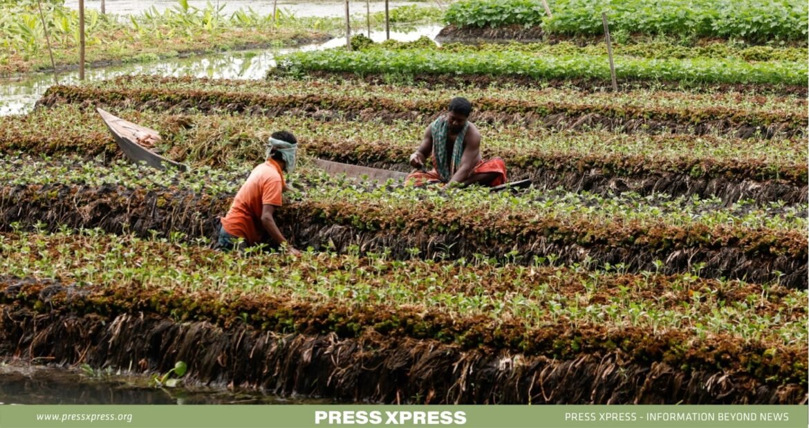 Farmers Flourish in BADC's Canal Magic!