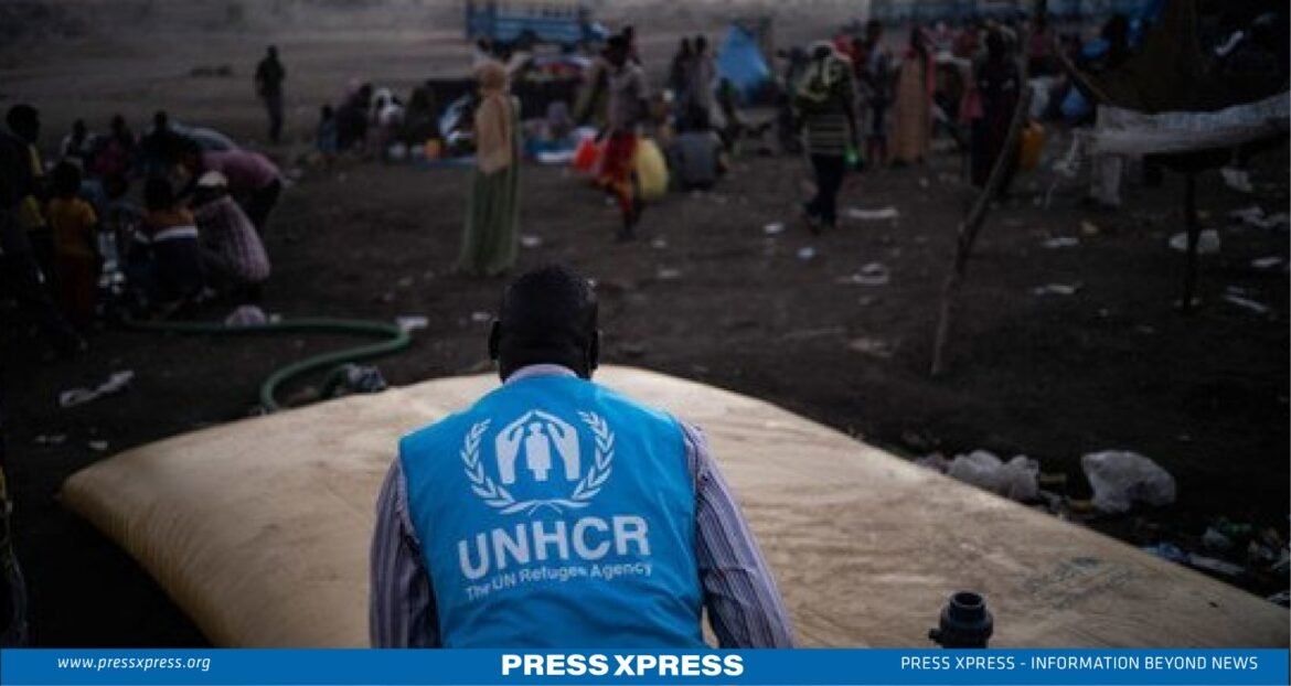 Global Crisis on Statelessness UNHCR Urges Swift Action