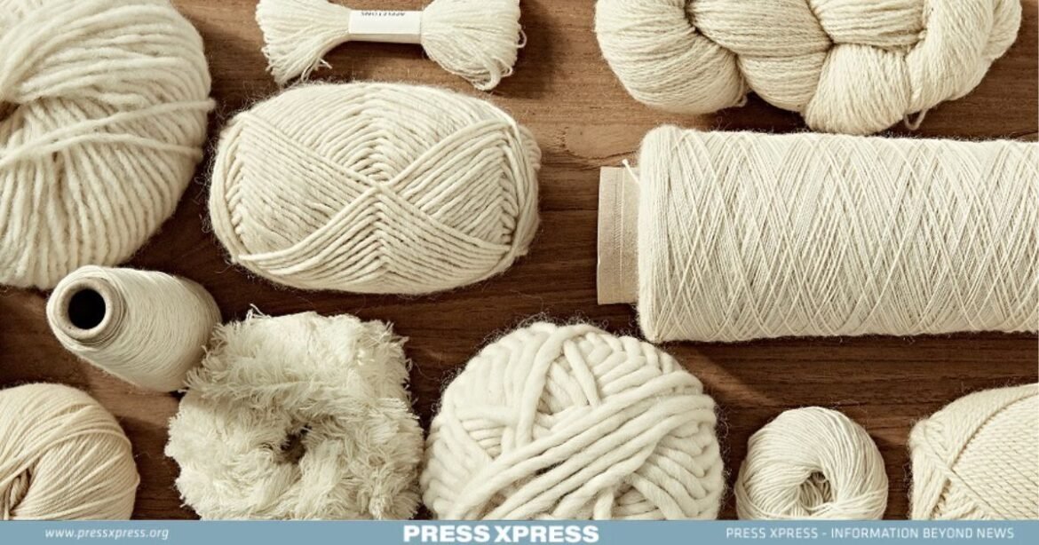 Bangladesh’s Ascent in High-End Woolen Garment Exports