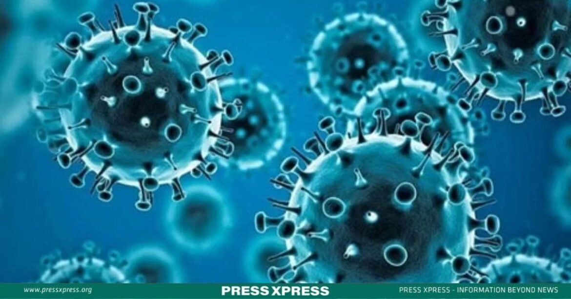 Covid JN.1 variant could rise this winter