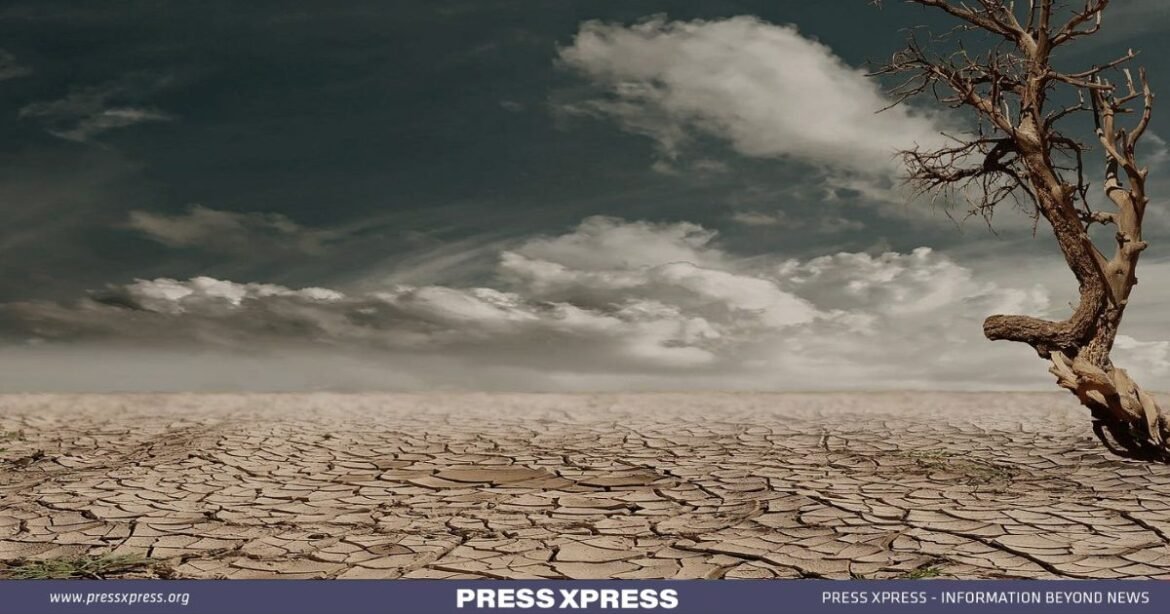 2023, The Hottest Year Ever Recorded Ignites Climate Concerns 2023, The Hottest Year Ever Recorded Ignites Climate Concerns