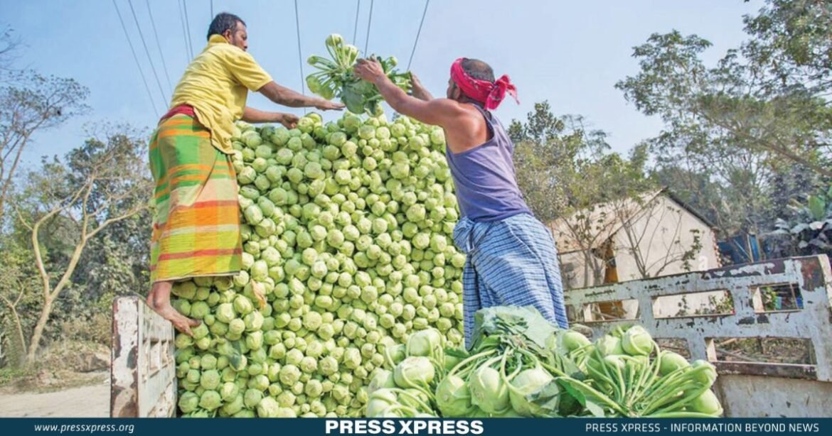 Bangladesh Growth: Policy Reforms Essential for Expanding Export Basket