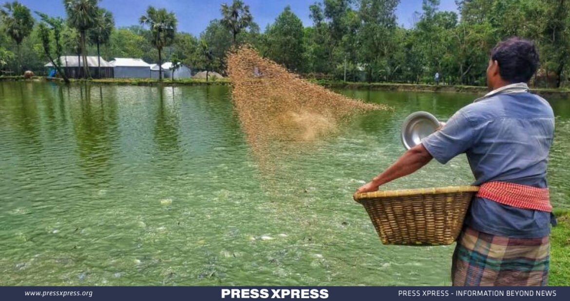 Bangladesh and ASEAN Casting a Net for Aquaculture Innovation