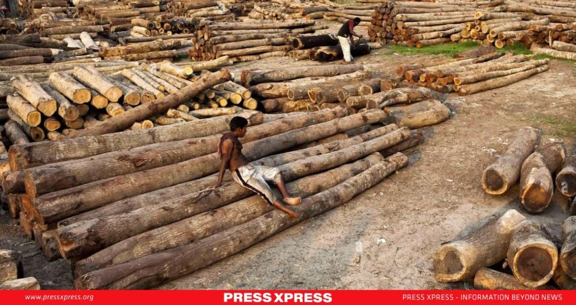 Bangladesh-Losing-Battle-Against-Deforestation Bangladesh Losing Battle Against Deforestation
