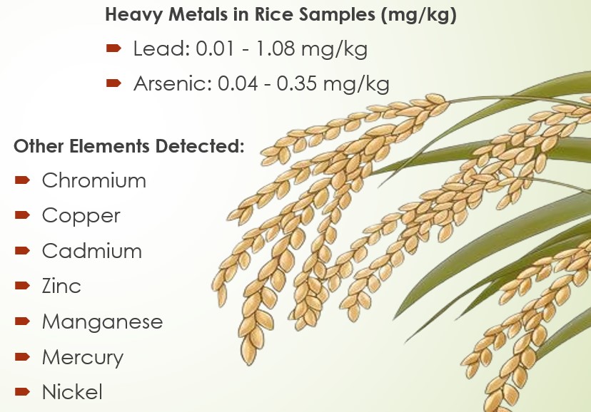 Heavy Metals in Rice Samples 