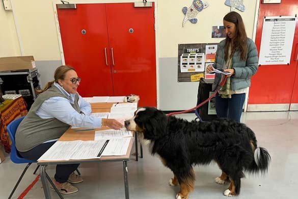 This Bernese mountain dog was very welcome in Oval, south London, this morning.