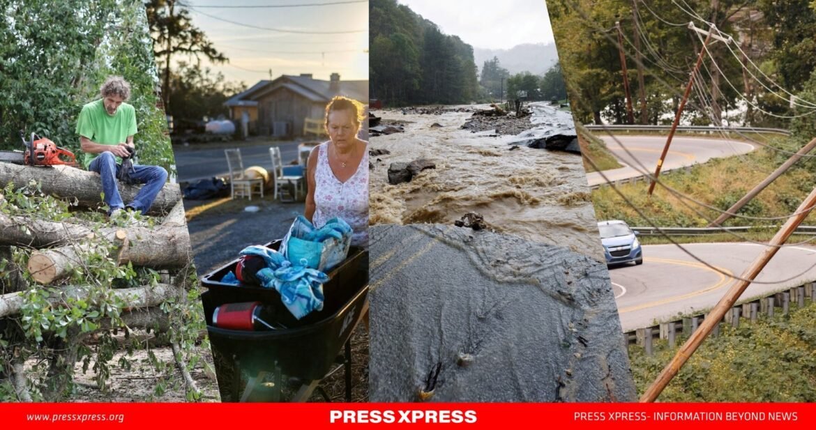 WhatsApp Image 2024-10-02 at 20.44.47_55d2a1c7