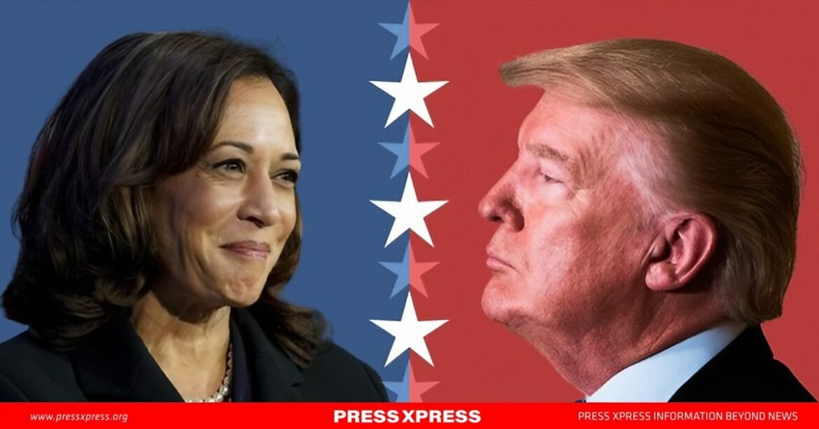 WhatsApp Image 2024-10-03 at 21.04.48_04dad38b