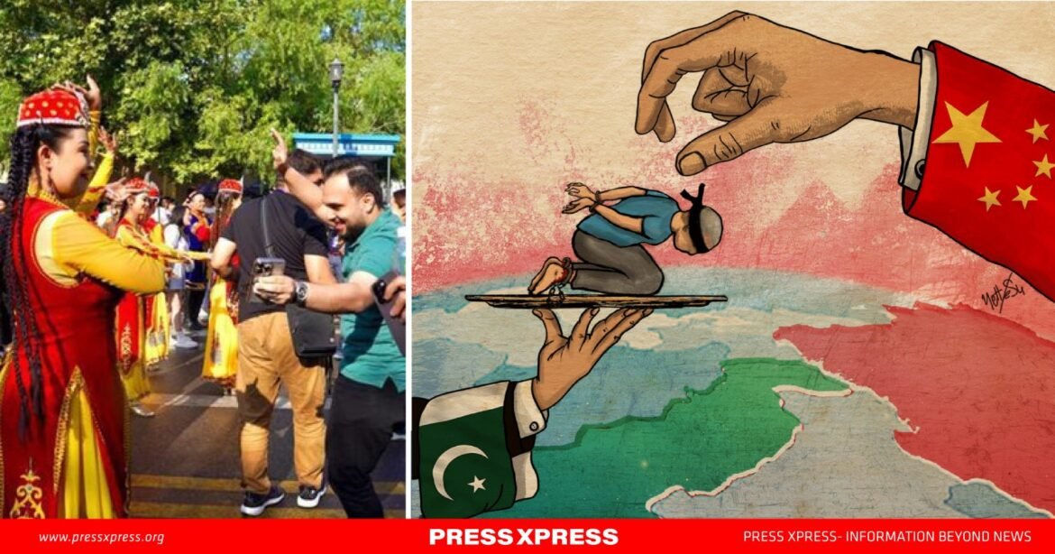 WhatsApp Image 2024-10-18 at 23.43.14_be9abc23