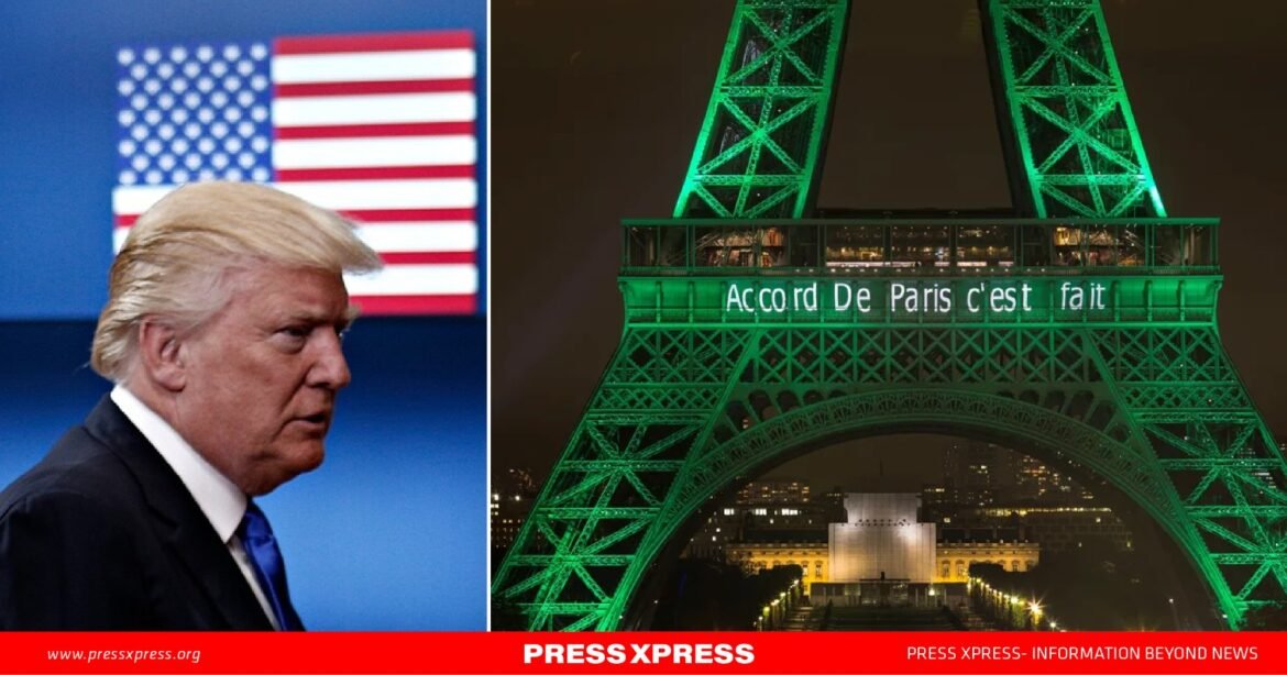 WhatsApp Image 2024-11-11 at 20.47.54_56a26ecf