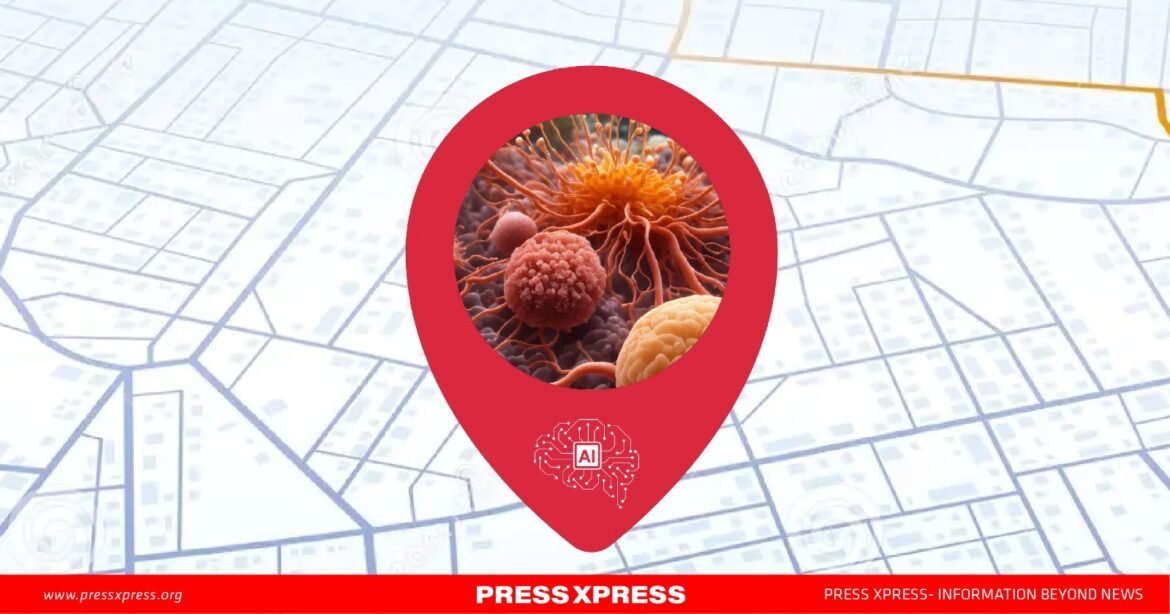 WhatsApp Image 2024-11-12 at 13.20.32_fed0227b