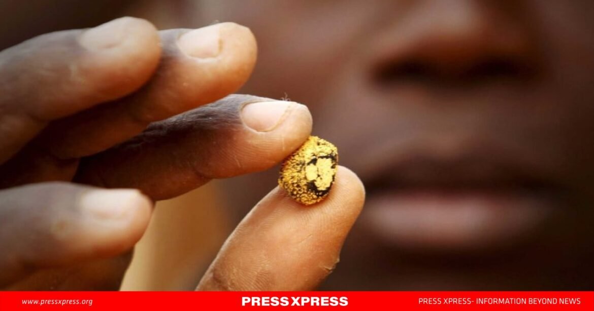 WhatsApp Image 2024-11-22 at 12.09.41_2d53aeef