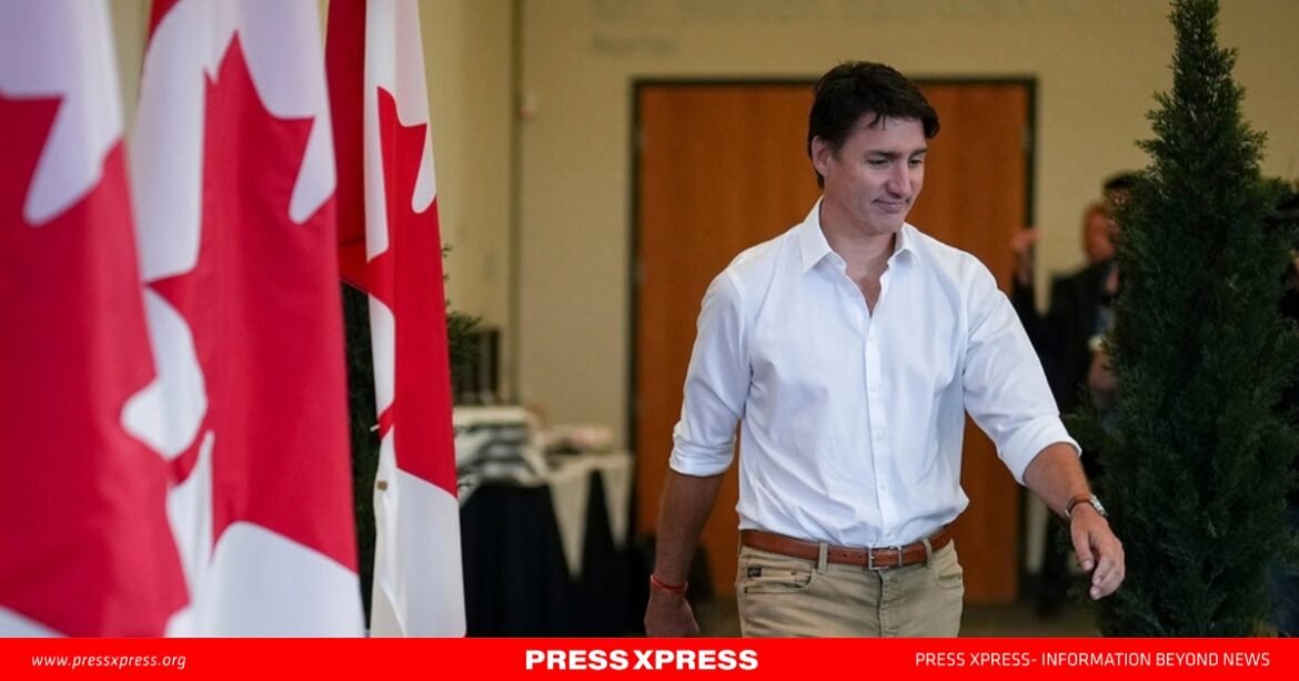 WhatsApp Image 2025-01-07 at 00.08.32_951069a0