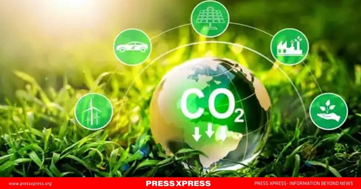 WhatsApp Image 2025-02-20 at 12.46.04_b7ae94f0